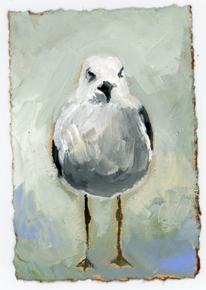 Ruby Seagull