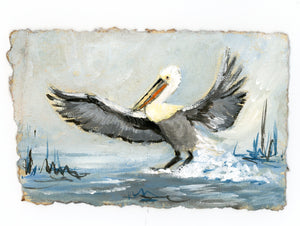 Walter Pelican